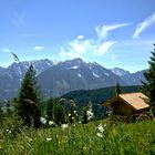 Eine Alm in Kärnten.