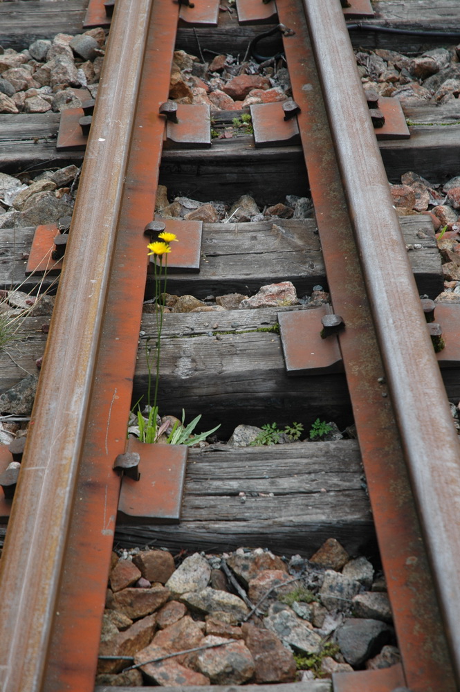 Eine alte Bahnstrecke...