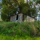 Eine alte Hütte mitten in der Wiese