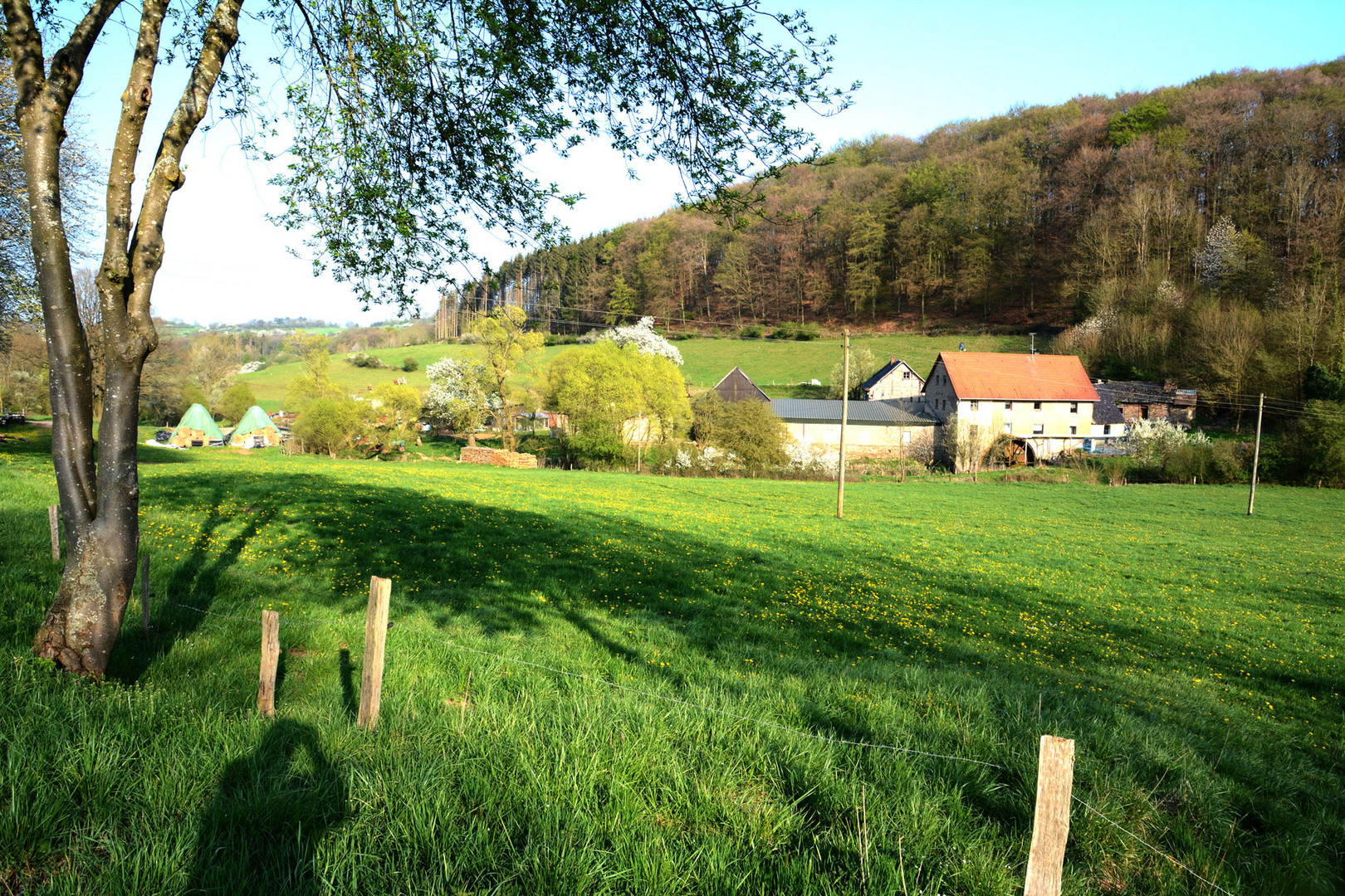 Eine alte Wassermühle an der Erft