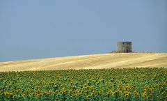 Eine alte Windmuehle