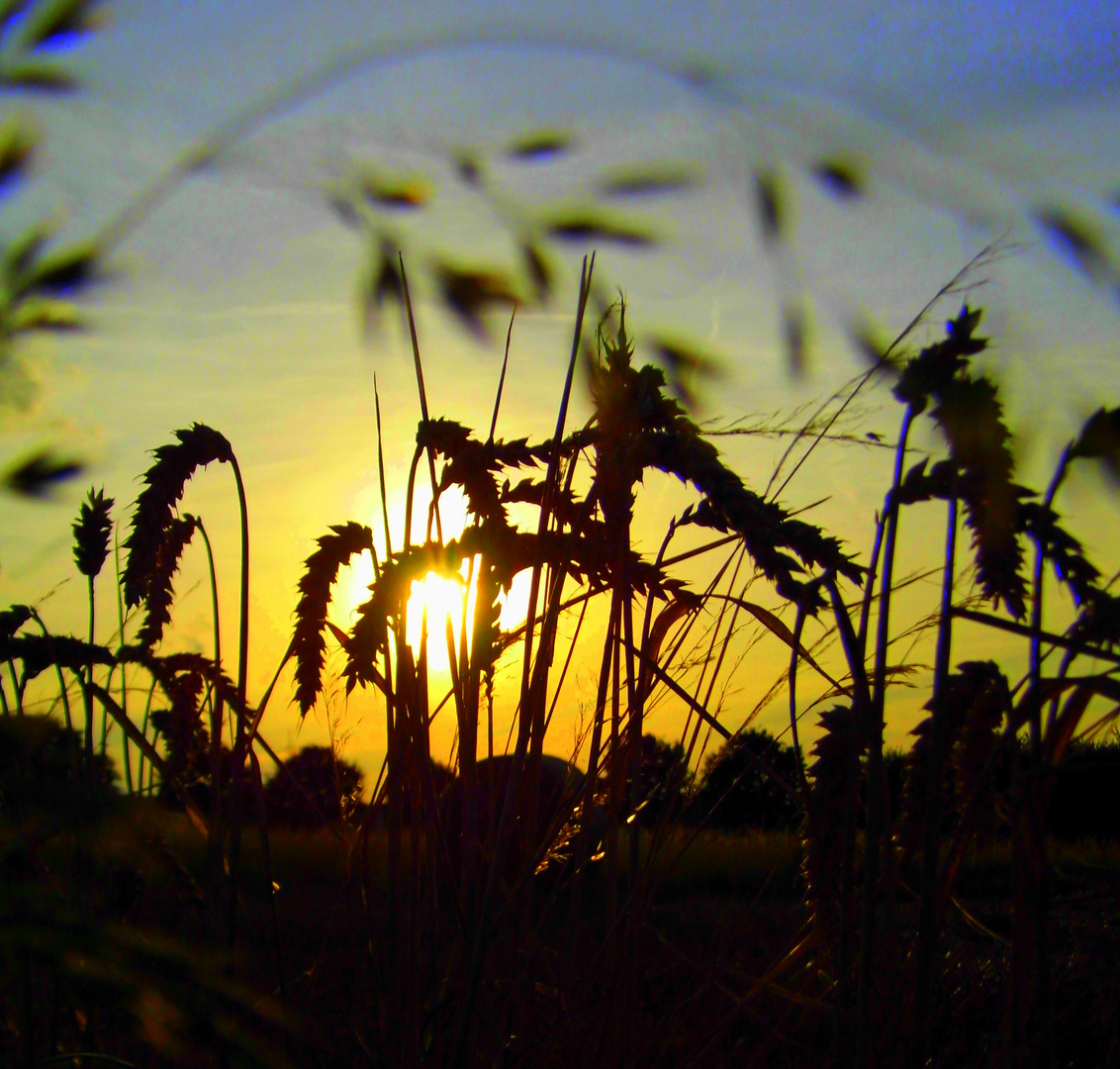 Eine andere Perspektive - Sonnenuntergang