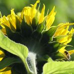 Eine andere Sichtweise