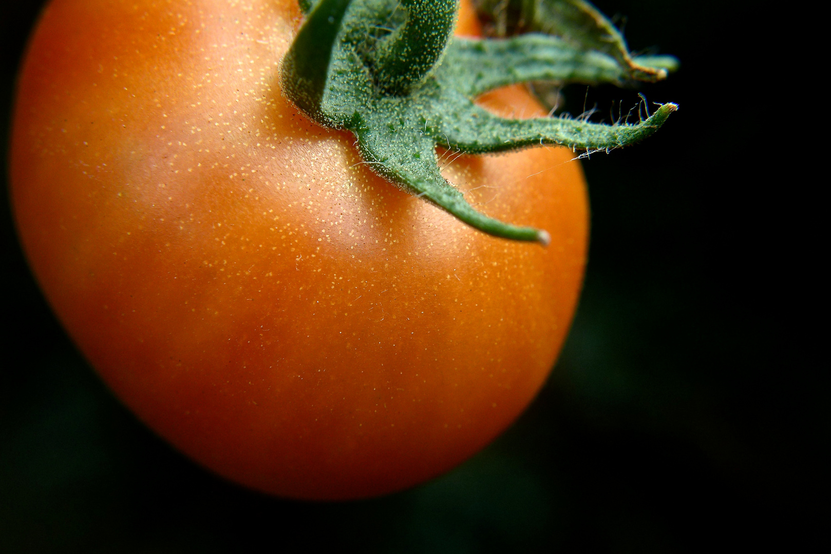Eine angeschnittene Tomate,..