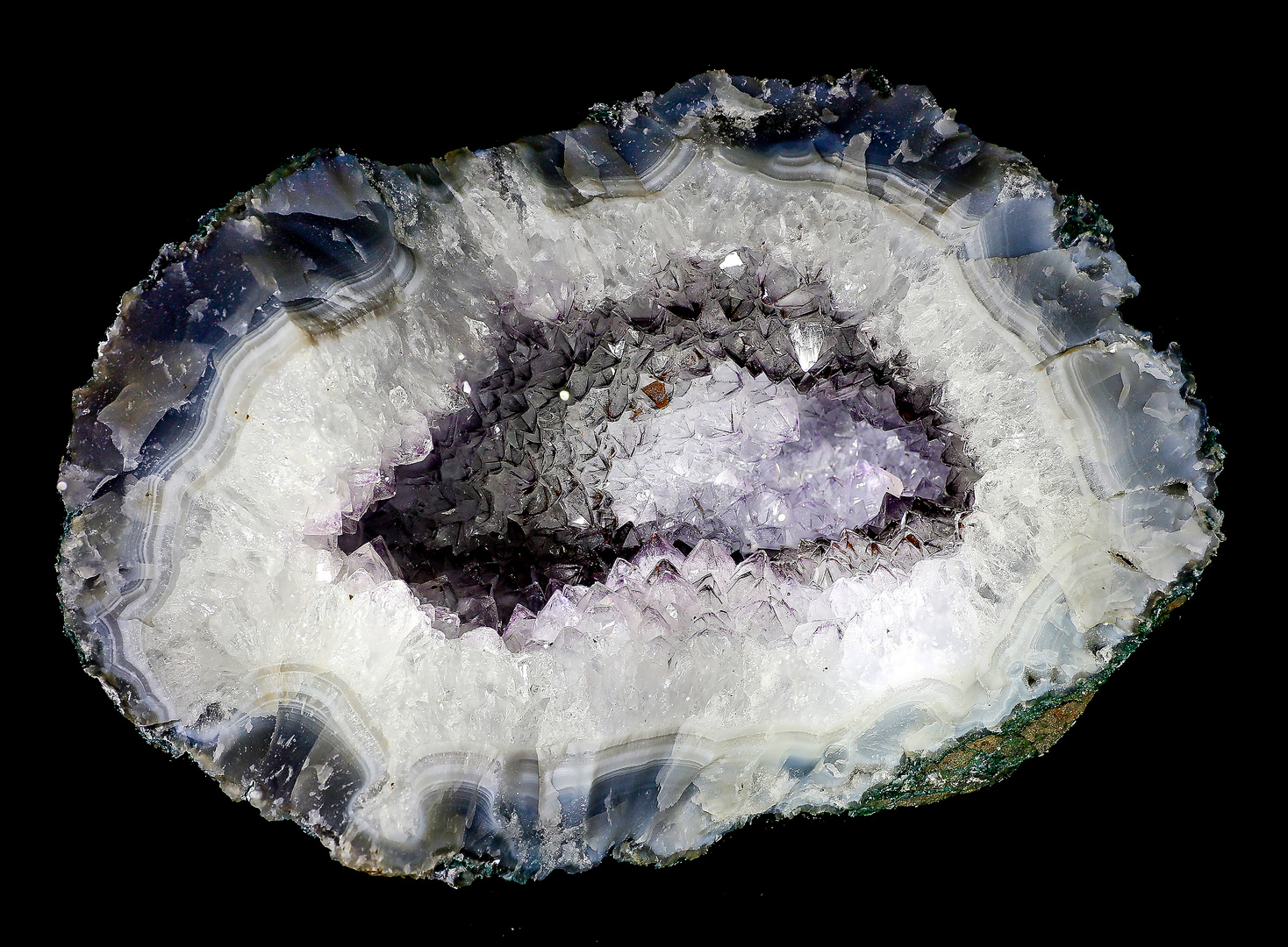 Eine aufgeschnittene Druse Foto & Bild | spezial, natur, stillleben