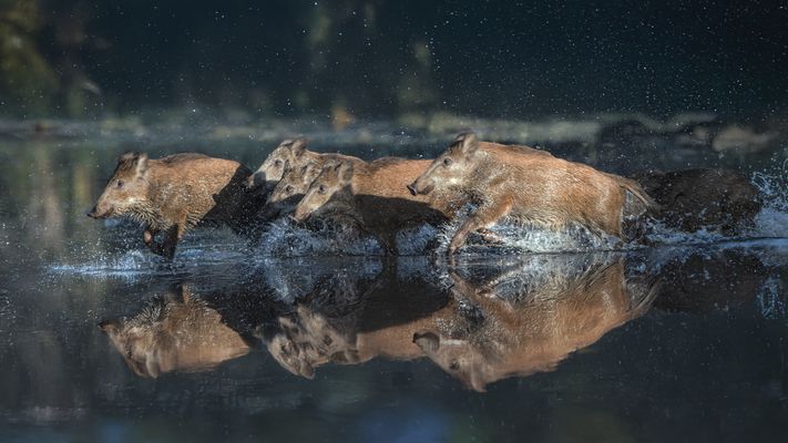 Eine außergewöhnliche Begegnung.