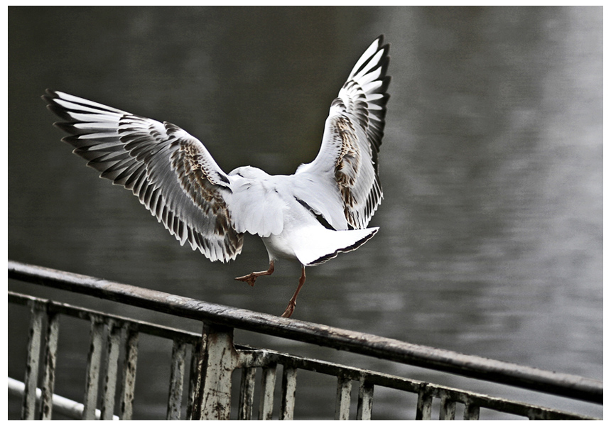 Eine Ballerina