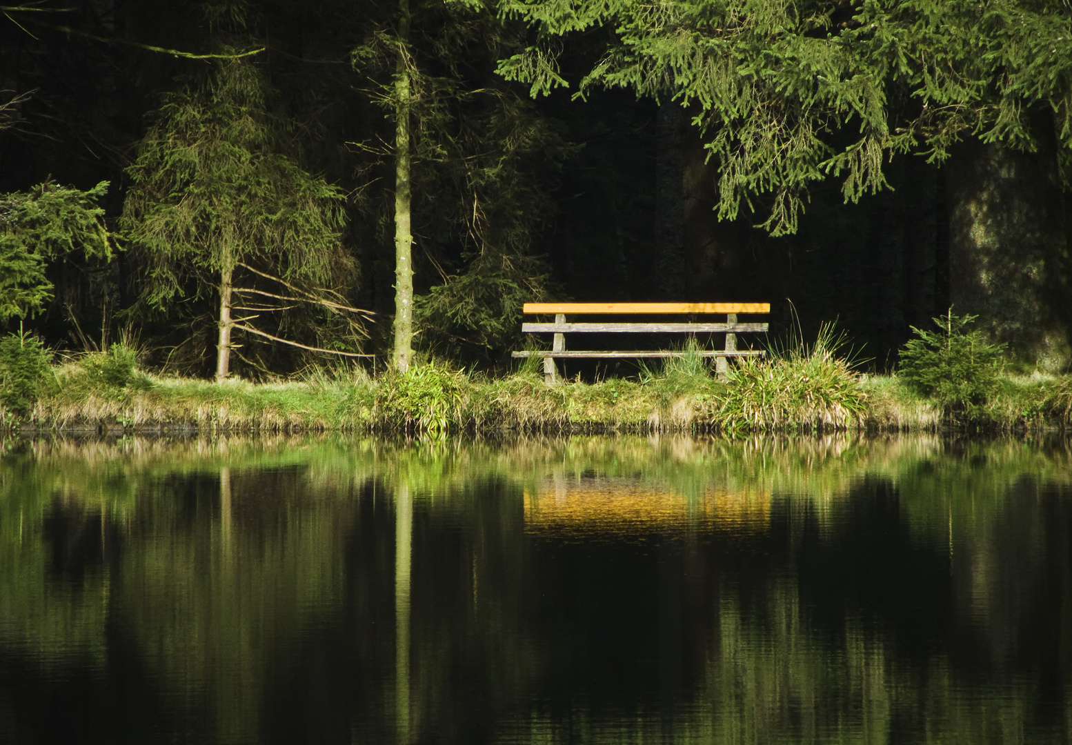 Eine Bank am See