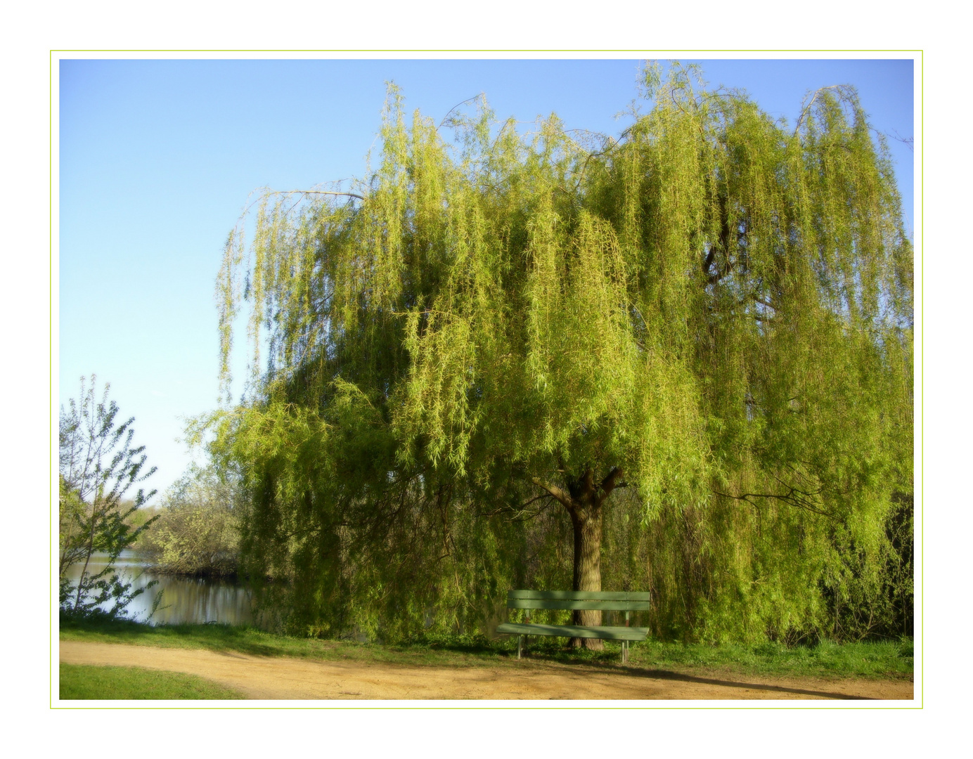 Eine Bank, ein Baum ...