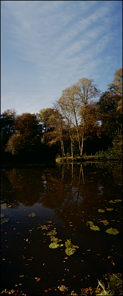 eine Bank im Bürgerpark