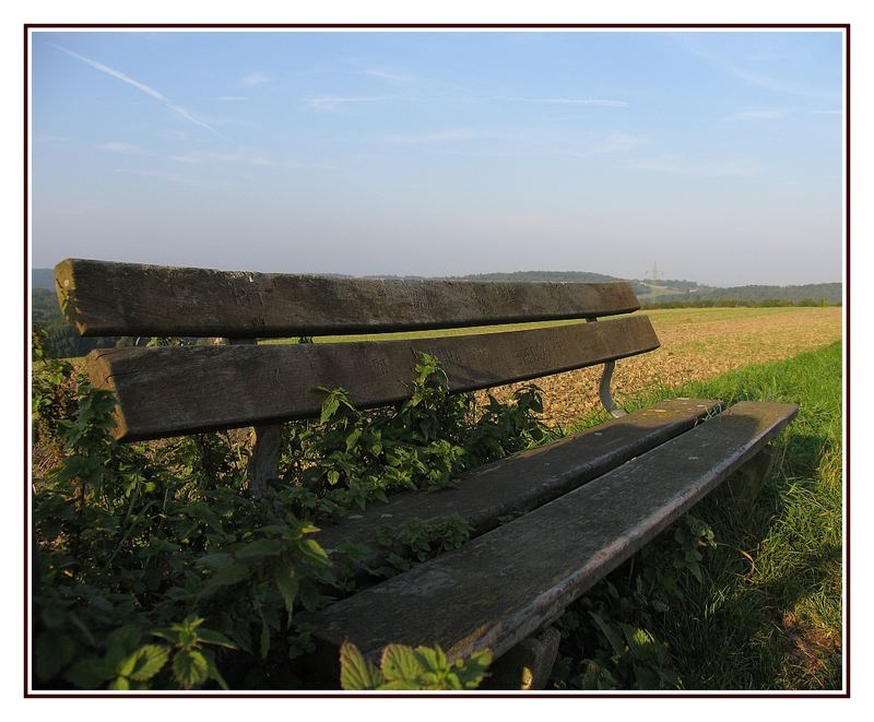 eine Bank im Sauerland