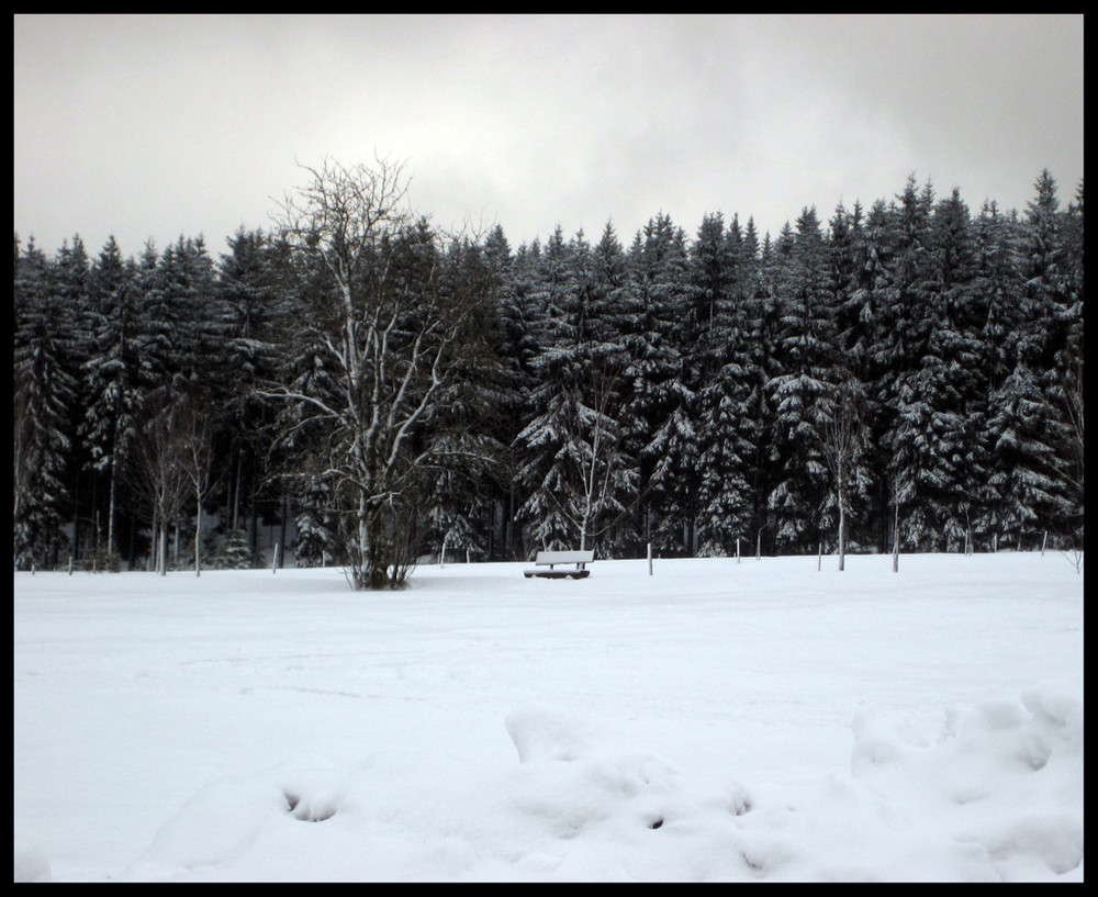 Eine Bank im Schnee