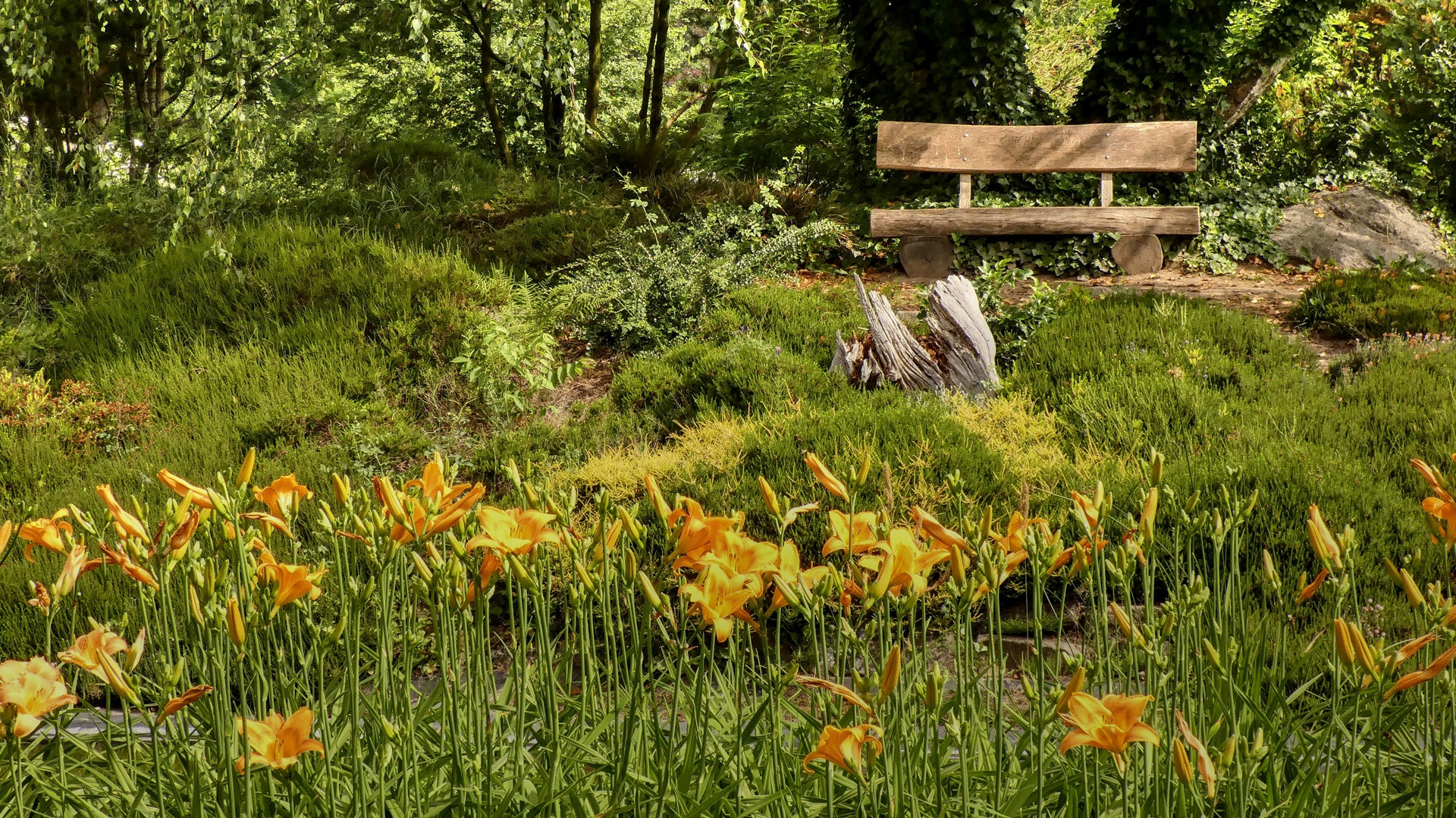 Eine Bank im Sonnenschein Foto & Bild | natur, landschaft ...