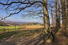 Eine Bank mit schöner Aussicht