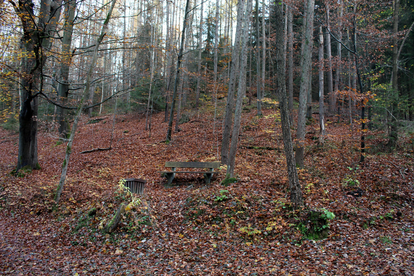 eine Bank zum Rasten