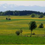 eine bank zum verweilen