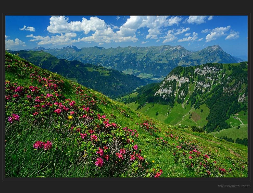 Eine Berg(tor)tour am heissesten Tag