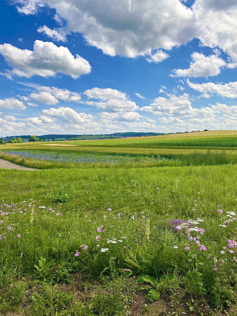 Eine beschauliche Naturlandschaft der Ruhe 