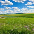 Eine beschauliche Naturlandschaft der Ruhe 