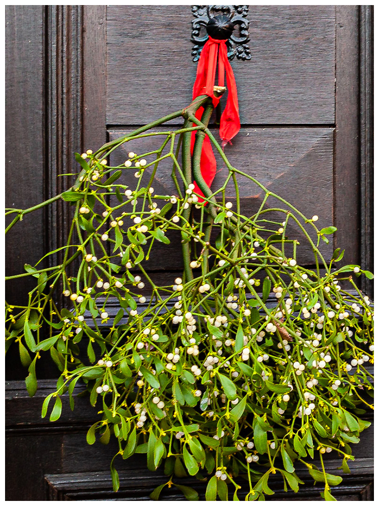 Eine besinnliche Adventszeit