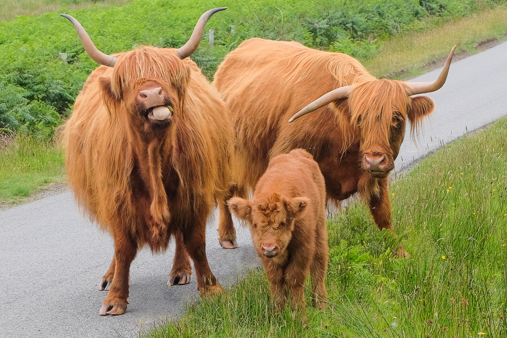 Eine besondere Familie . . .