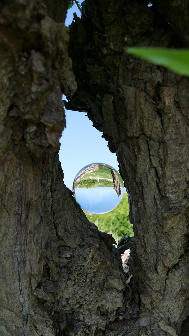 Eine besondere Sicht