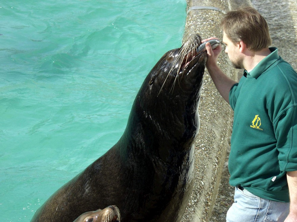 Eine Besuch im Zoo