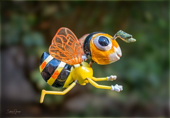 Eine Biene für alle fc-Bi(e)nen ;-)