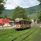 Eine Bimmel mit Silberblick