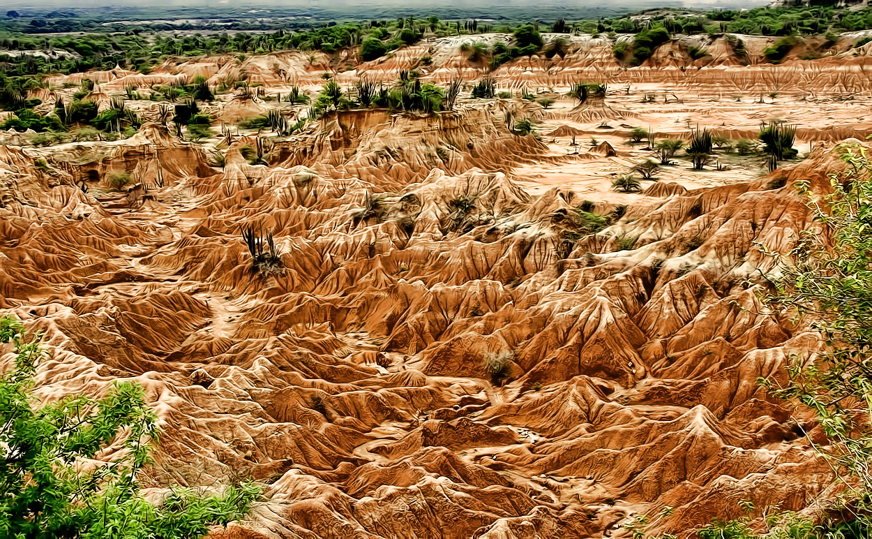 eine bizarre Landschaft