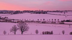 Eine "Blaue Stunde" für 20 Minuten am Morgen in "Rosa"...