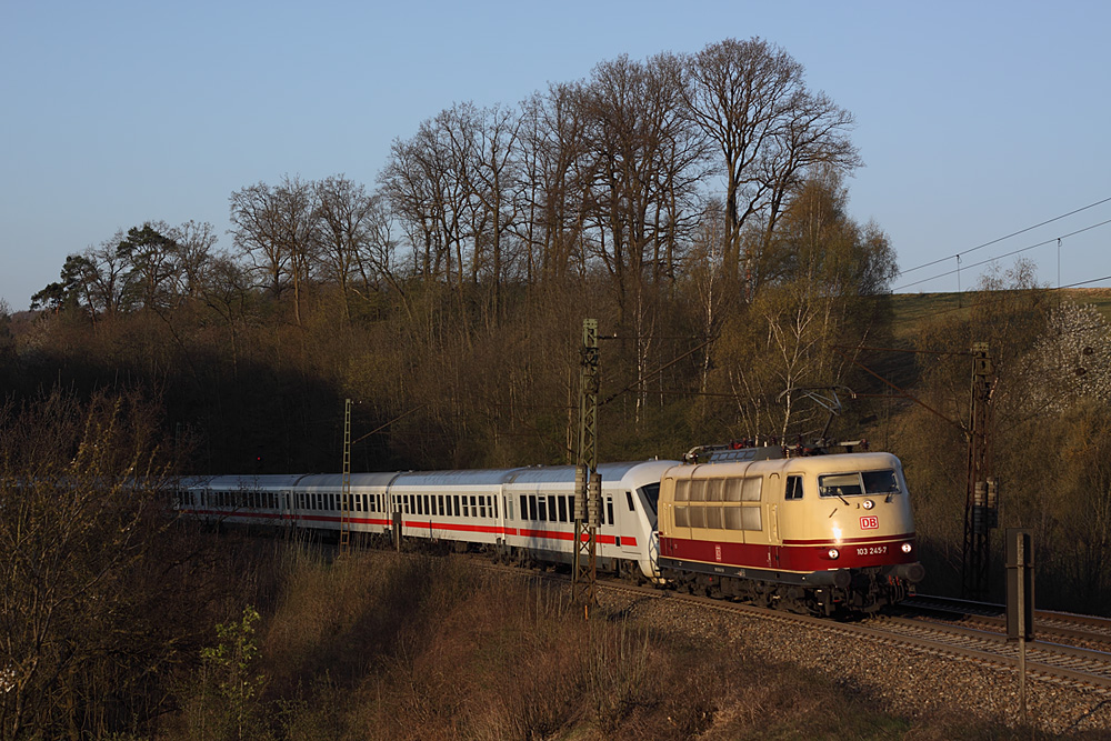 Eine Blondiene am Morgen ...