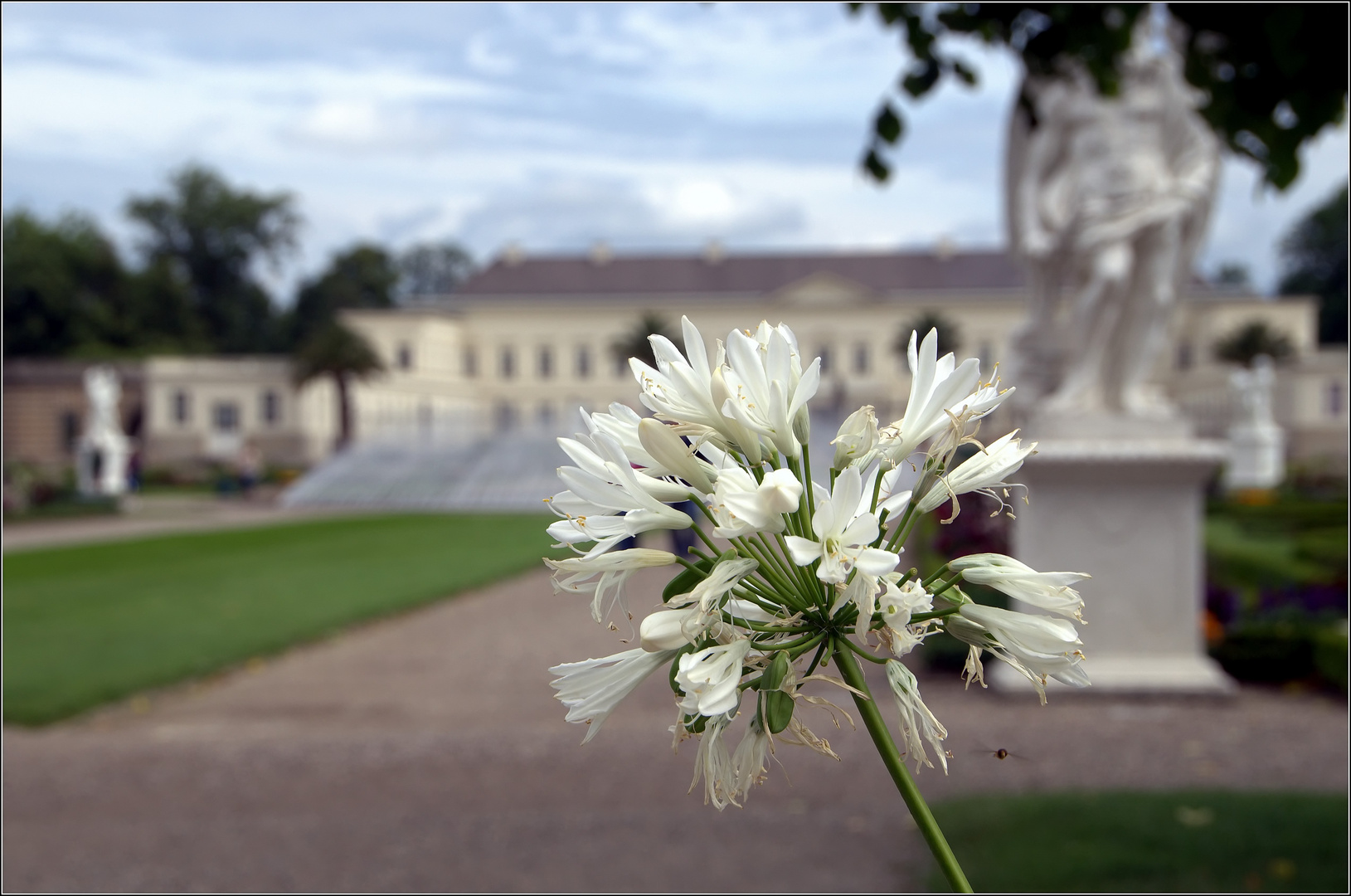  eine Blüte.....