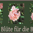 Eine Blüte für die Biene