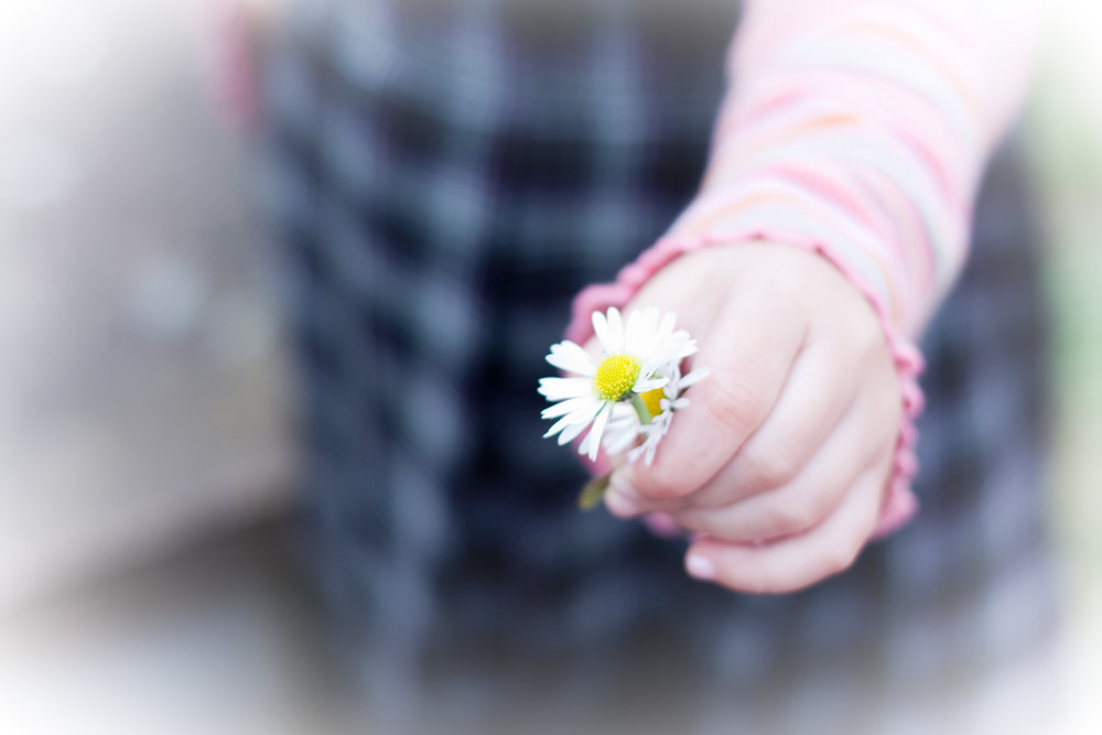 Eine Blume für Dich von zhephia 