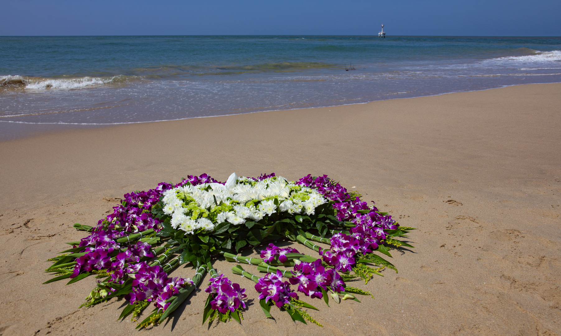 Eine Blume für die Toten