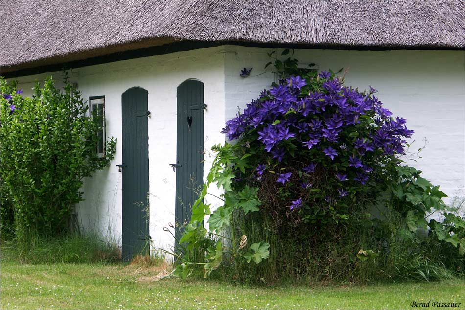 Eine "blumige" Toilette