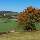 Eine Brotbüchse unterwegs