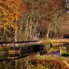 Eine Brücke des Ludwigskanal