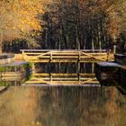 Eine Brücke des Ludwigskanal im Herbst