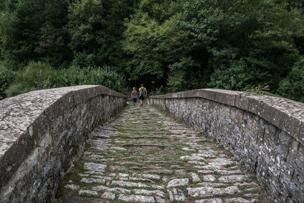 eine Brücke die ins Wanderwegenetzwerk eingebunden wurde