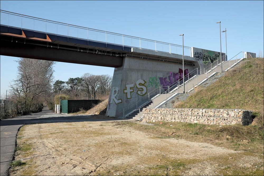 eine Brücke, eine Treppe und ein kleiner Wald