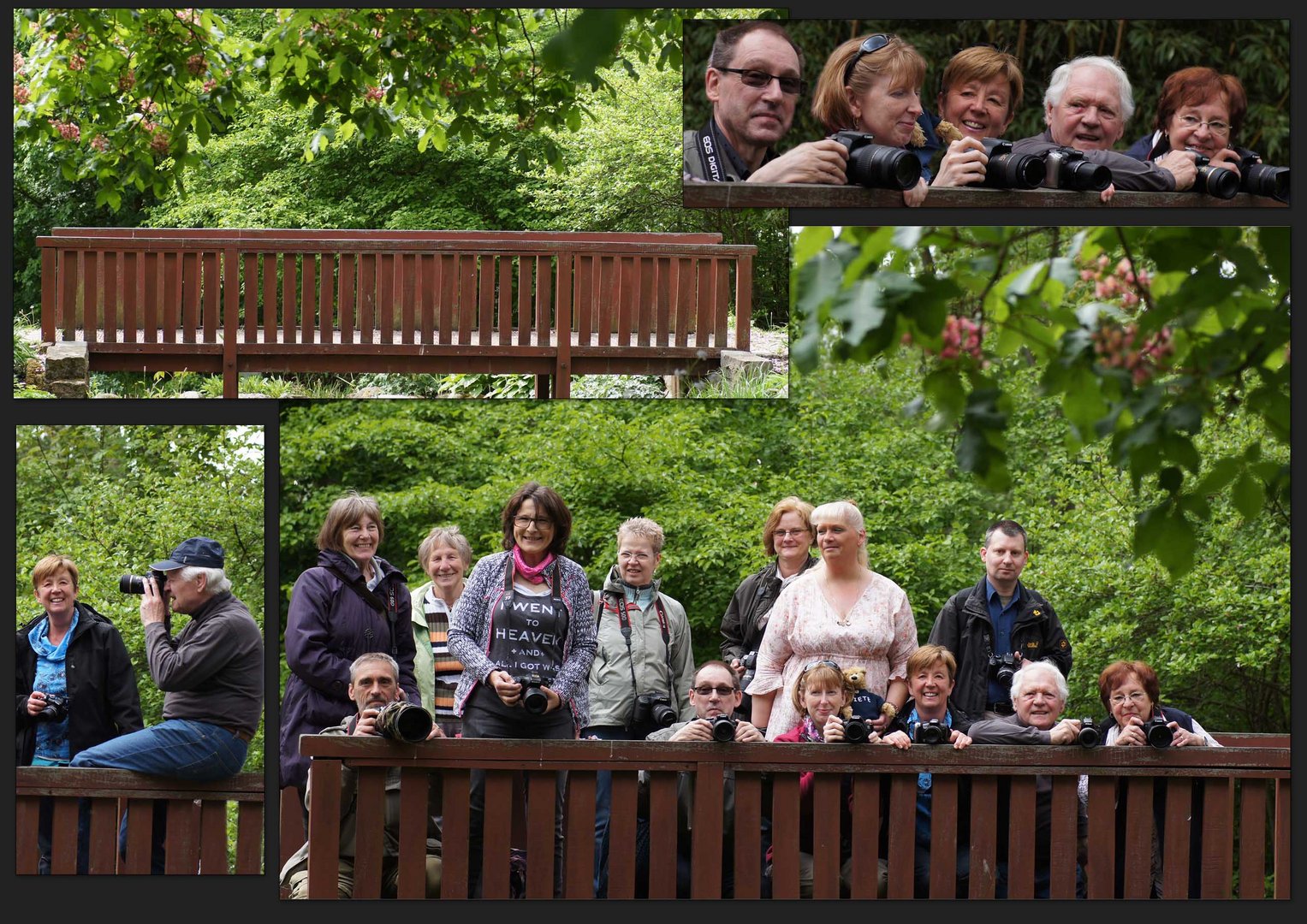 Eine Brücke für Freunde...