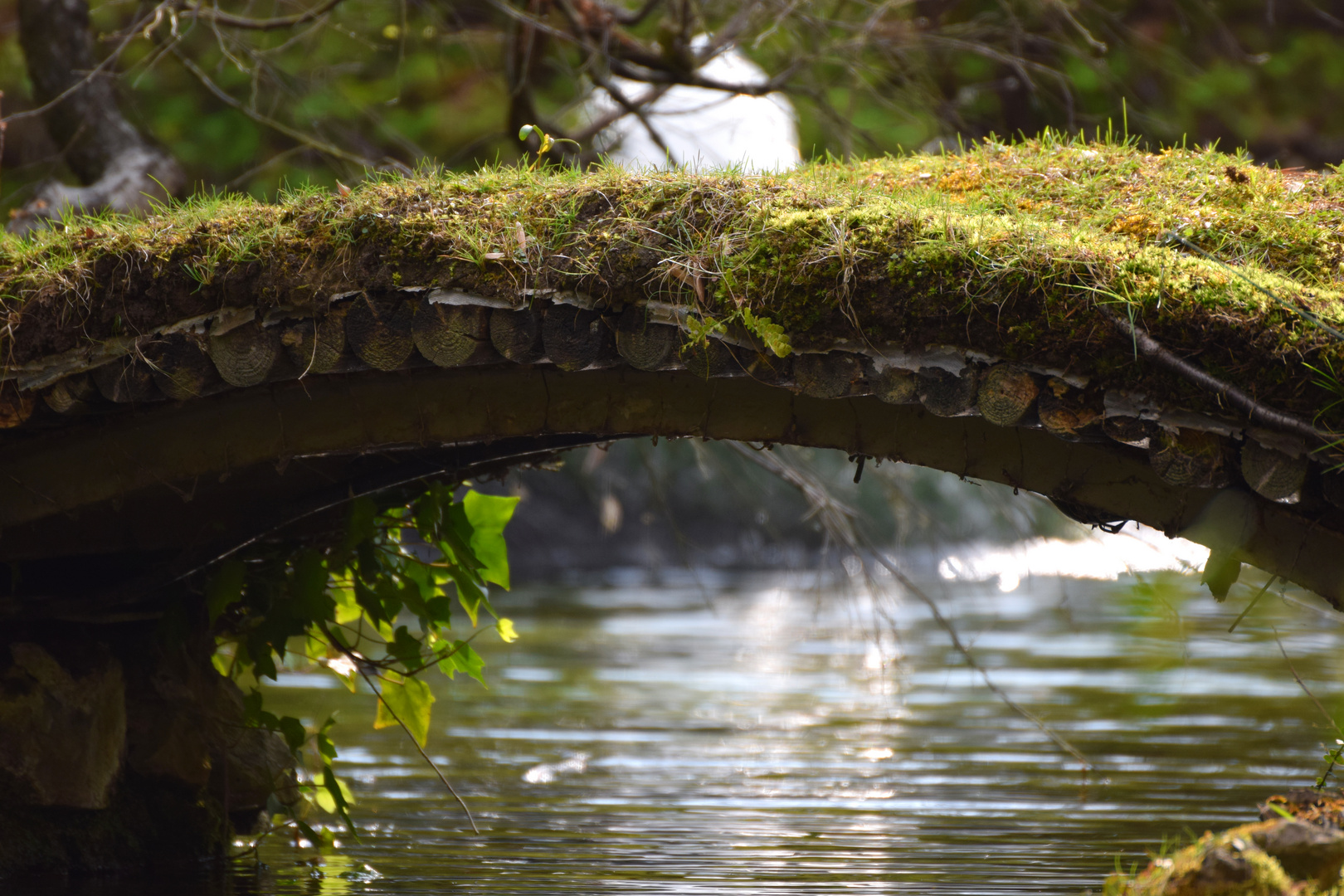 Eine Brücke im Japanischen Garten