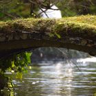 Eine Brücke im Japanischen Garten