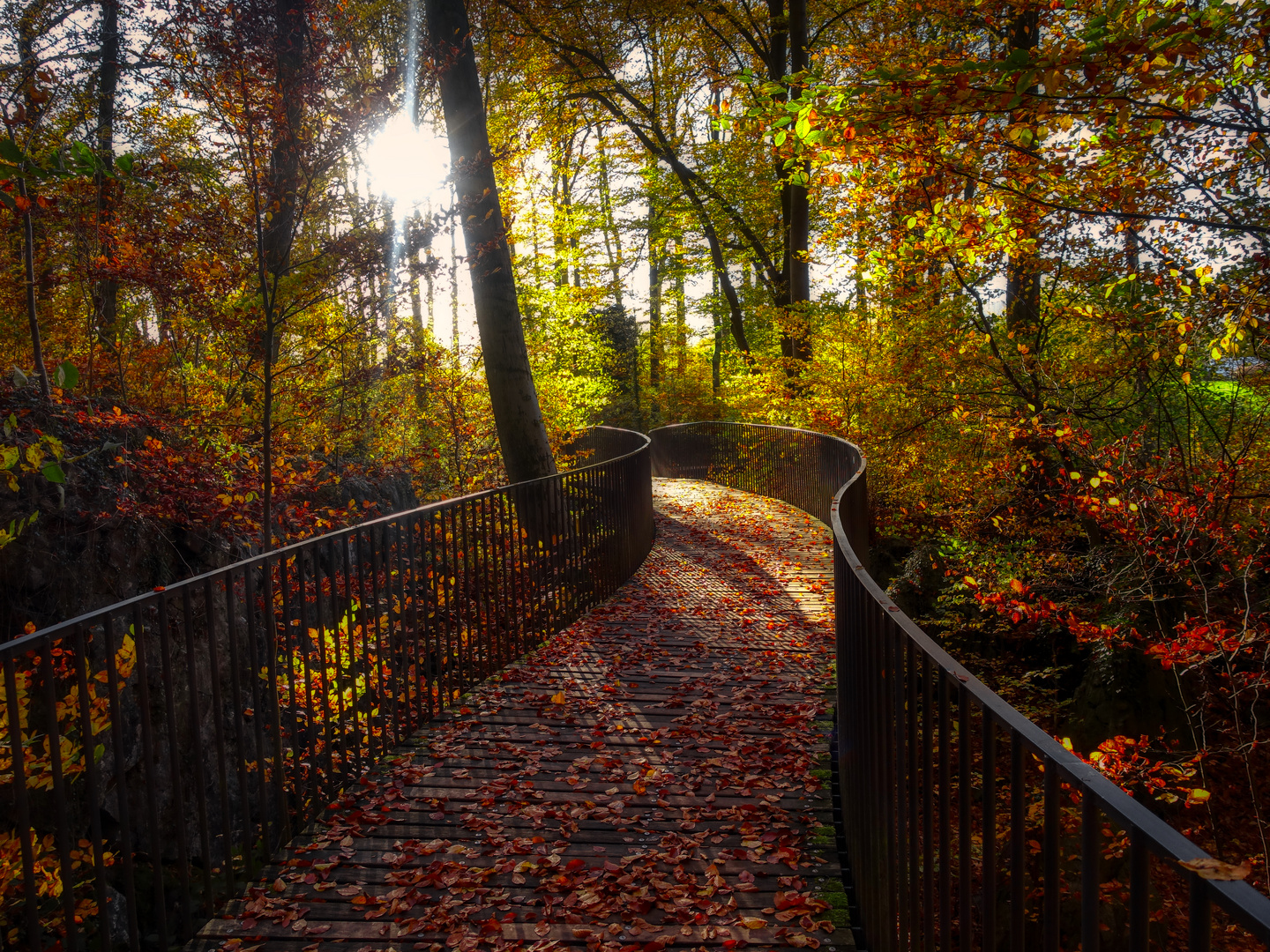 eine Brücke im Wald