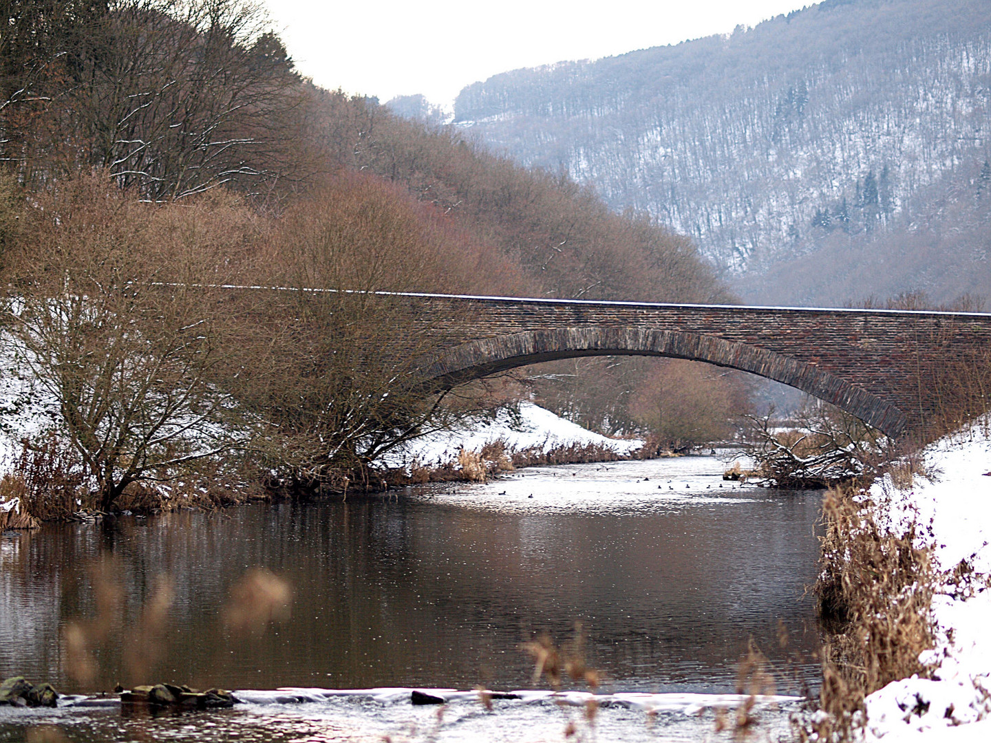 Eine Brücke in Norden Luxemburgs