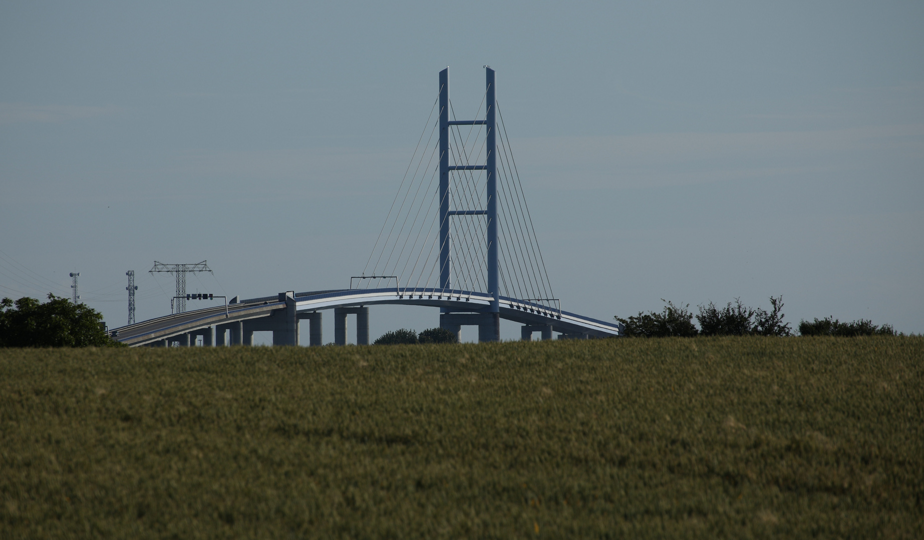 Eine Brücke über dem Kornfeld