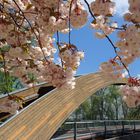 Eine Brücke zum Sommer....