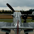 Eine Buchon in Duxford